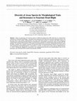 Research paper thumbnail of Diversity of Avena Species by Morphological Traits and Resistance to Fusarium Head Blight