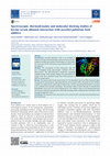 Research paper thumbnail of Spectroscopic, thermodynamic and molecular docking studies of bovine serum albumin interaction with ascorbyl palmitate food additive