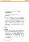 Research paper thumbnail of Aceh in the Shadow of Grey Democracy