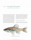 Research paper thumbnail of Chapter 20 Percopsidae : Trout-perches