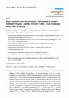 Research paper thumbnail of Article Deep Sediment-Sourced Methane Contribution to Shallow Sediment Organic Carbon: Atwater Valley, Texas-Louisiana Shelf, Gulf of Mexico