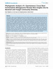 Research paper thumbnail of Phylogenetic Analysis of a Spontaneous Cocoa Bean Fermentation Metagenome Reveals New Insights into Its Bacterial and Fungal Community Diversity