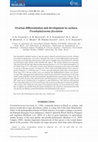 Research paper thumbnail of Ovarian differentiation and development in cachara Pseudoplatystoma fasciatum