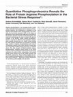 Research paper thumbnail of Quantitative Phosphoproteomics Reveals the Role of Protein Arginine Phosphorylation in the Bacterial Stress Response