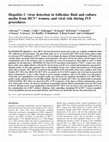 Research paper thumbnail of Hepatitis C virus detection in follicular fluid and culture media from HCV+ women, and viral risk during IVF procedures