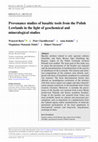 Research paper thumbnail of Provenance studies of basaltic tools from the Polish Lowlands in the light of geochemical and mineralogical studies