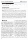 Research paper thumbnail of Erroneous identities ofPotamogetonhybrids corrected by molecular analysis of plants from type clones