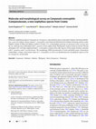 Research paper thumbnail of Molecular and morphological survey on Campanula cremnophila (Campanulaceae), a new isophyllous species from Croatia