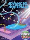 Research paper thumbnail of Ionic-Liquid Gating: Quantitative Determination on Ionic-Liquid-Gating Control of Interfacial Magnetism (Adv. Mater. 17/2017)