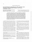 Research paper thumbnail of Increased Production of Interleukin 4 by CD4+and CD8+T Cells from Patients with Tuberculosis Is Related to the Presence of Pulmonary Cavities