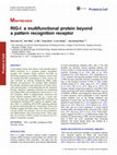 Research paper thumbnail of RIG-I: a multifunctional protein beyond a pattern recognition receptor