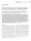 Research paper thumbnail of New native South American Y chromosome lineages