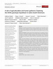 Research paper thumbnail of A tale of agriculturalists and hunter-gatherers: Exploring the thrifty genotype hypothesis in native South Americans