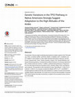 Research paper thumbnail of Genetic Variations in the TP53 Pathway in Native Americans Strongly Suggest Adaptation to the High Altitudes of the Andes