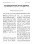 Research paper thumbnail of Determination of Hypericin Content in Callus and Cell Suspension Cultures of Hypericum triquetrifolium Turra