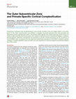 Research paper thumbnail of The Outer Subventricular Zone and Primate-Specific Cortical Complexification