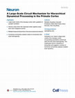 Research paper thumbnail of A large-scale circuit mechanism for hierarchical dynamical processing in the primate cortex