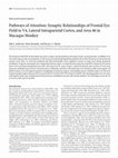 Research paper thumbnail of Pathways of Attention: Synaptic Relationships of Frontal Eye Field to V4, Lateral Intraparietal Cortex, and Area 46 in Macaque Monkey