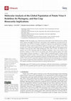 Research paper thumbnail of Molecular Analysis of the Global Population of Potato Virus S Redefines Its Phylogeny, and Has Crop Biosecurity Implications