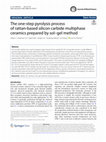 Research paper thumbnail of The one-step pyrolysis process of rattan-based silicon carbide multiphase ceramics prepared by sol–gel method