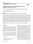 Research paper thumbnail of Imaging the dynamic deposition of cell wall polymer in xylem and phloem in Populus × euramericana