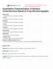 Research paper thumbnail of Quantitative characterization of bamboo cortex structure based on X-ray microtomography