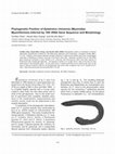 Research paper thumbnail of Phylogenetic position of Eptatretus chinensis (Myxinidae: Myxiniformes) inferred by 16S rRNA gene sequence and morphology