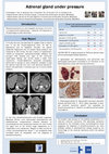 Research paper thumbnail of Adrenal Gland Under Pressure