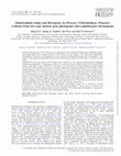 Research paper thumbnail of Allotetraploid origin and divergence in Eleusine (Chloridoideae, Poaceae): evidence from low-copy nuclear gene phylogenies and a plastid gene chronogram