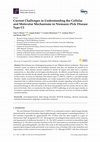 Research paper thumbnail of Current Challenges in Understanding the Cellular and Molecular Mechanisms in Niemann–Pick Disease Type C1