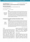 Research paper thumbnail of A Comparison of Geodetic and Seismic Strain Rates in Turkey