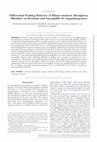 Research paper thumbnail of Differential Probing Behavior of Blissus insularis (Hemiptera: Blissidae) on Resistant and Susceptible St. Augustinegrasses