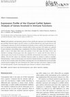 Research paper thumbnail of Expression Profile of the Channel Catfish Spleen: Analysis of Genes Involved in Immune Functions