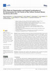 Research paper thumbnail of New Data on Organization and Spatial Localization of B-Chromosomes in Cell Nuclei of the Yellow-Necked Mouse Apodemus flavicollis