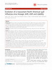 Research paper thumbnail of Evolution of a reassortant North American gull influenza virus lineage: drift, shift and stability