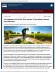 Research paper thumbnail of The Release of China's Rice Stocks Could Impact Global Feed Markets