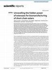 Research paper thumbnail of Unravelling the hidden power of esterases for biomanufacturing of short-chain esters