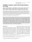 Research paper thumbnail of CADASIL mutations impair Notch3 glycosylation by Fringe