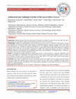 Research paper thumbnail of Antibacterial and Antifungal Activities of Micromeria biflora (Leaves)