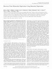 Research paper thumbnail of Recovery From Monocular Deprivation Using Binocular Deprivation