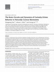 Research paper thumbnail of The Brain Circuits and Dynamics of Curiosity-Driven Behavior in Naturally Curious Marmosets