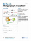 Research paper thumbnail of PI3K/Akt Cooperates with Oncogenic Notch by Inducing Nitric Oxide-Dependent Inflammation