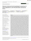 Research paper thumbnail of Molecular, behavioural and morphological comparisons of sperm adaptations in a fish with alternative reproductive tactics