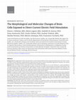 Research paper thumbnail of The morphological and molecular changes of brain cells exposed to direct current electric field stimulation