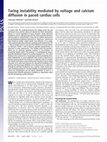 Research paper thumbnail of Turing instability mediated by voltage and calcium diffusion in paced cardiac cells