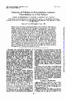 Research paper thumbnail of Induction of cellulose in Schizophyllum commune: thiocellobiose as a new inducer