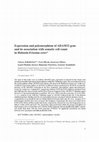 Research paper thumbnail of Expression and polymorphism of ADAM32 gene and its association with somatic cell count in Holstein-Friesian cows