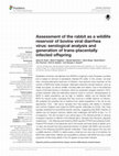 Research paper thumbnail of Assessment of the rabbit as a wildlife reservoir of bovine viral diarrhea virus: serological analysis and generation of trans-placentally infected offspring