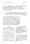 Research paper thumbnail of Two new human tumor cell lines derived from squamous cell carcinomas of the tongue: Establishment, characterization and response to cytotoxic treatment