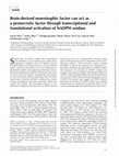 Research paper thumbnail of Brain-derived neurotrophic factor can act as a pronecrotic factor through transcriptional and translational activation of NADPH oxidase